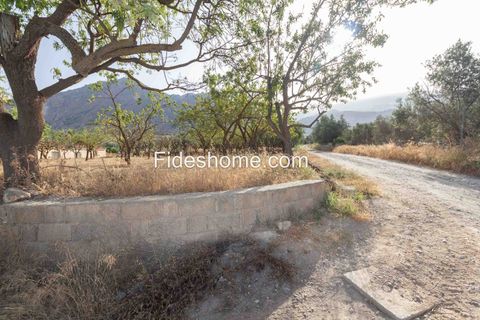 Helårsgrund i Niguelas, Granada - foto 3