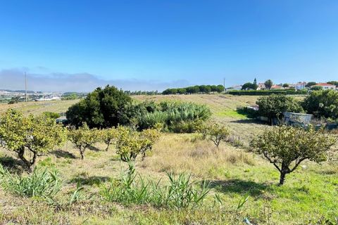 Helårsgrund i Torres Vedras, Lisbon, Torres Vedras - € 70.000 | Ref: XT02 - foto 2