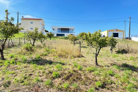Helårsgrund i Torres Vedras, Lisbon, Torres Vedras - € 70.000 | Ref: XT02 - foto 3