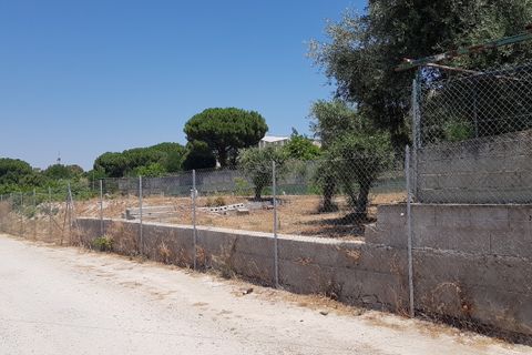 Terra a Cagliari, Cagliari, Cagliari - € 295.000 | Ref: 1092 - foto 20