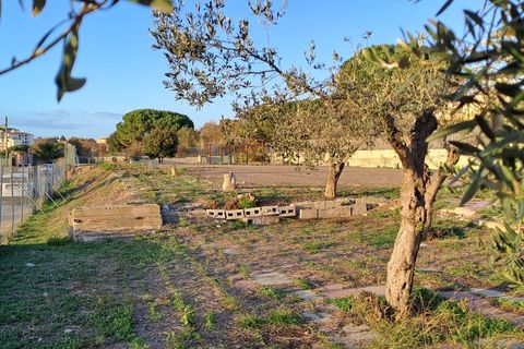 Terra a Cagliari, Cagliari, Cagliari - € 295.000 | Ref: 1092 - foto 26