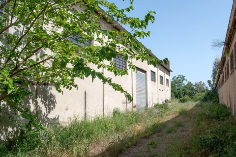 Erhvervsejendom i Selargius, Cagliari, Selargius - € 290.000 | Ref: 1282 - foto 4