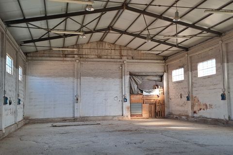 Erhvervsejendom i Selargius, Cagliari, Selargius - € 290.000 | Ref: 1282 - foto 7