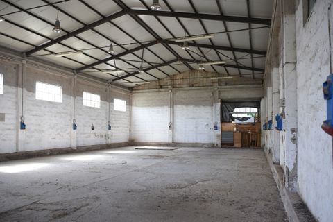 Erhvervsejendom i Selargius, Cagliari, Selargius - € 290.000 | Ref: 1282 - foto 9