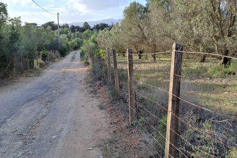 Erhvervsejendom i Quartucciu, Cagliari, Quartucciu - € 204.000 | Ref: 1342 - foto 2