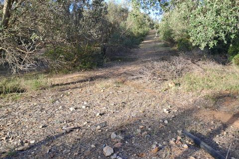 Erhvervsejendom i Quartucciu, Cagliari, Quartucciu - € 204.000 | Ref: 1342 - foto 5