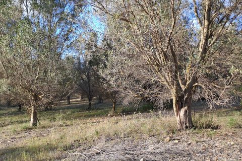 Erhvervsejendom i Quartucciu, Cagliari, Quartucciu - € 204.000 | Ref: 1342 - foto 6