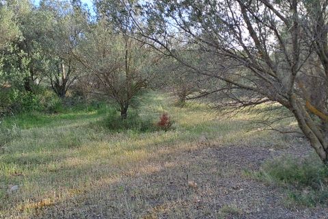 Erhvervsejendom i Quartucciu, Cagliari, Quartucciu - € 204.000 | Ref: 1342 - foto 7