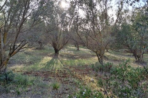 Erhvervsejendom i Quartucciu, Cagliari, Quartucciu - € 204.000 | Ref: 1342 - foto 8