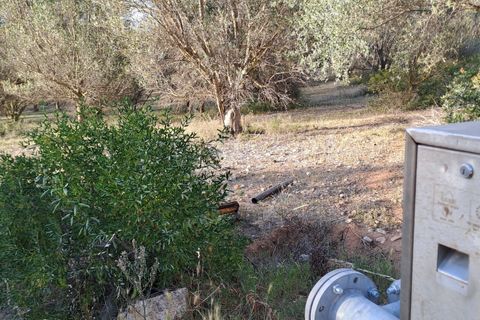 Erhvervsejendom i Quartucciu, Cagliari, Quartucciu - € 204.000 | Ref: 1342 - foto 9