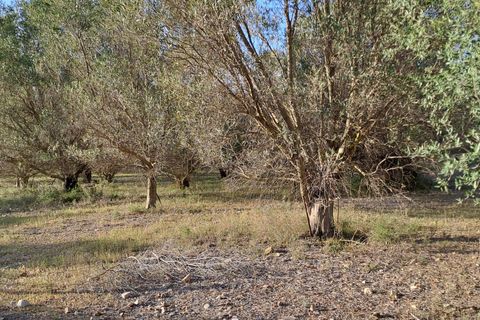Erhvervsejendom i Quartucciu, Cagliari, Quartucciu - € 204.000 | Ref: 1342 - foto 10