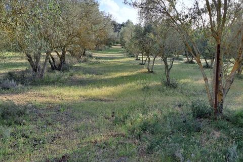 Erhvervsejendom i Quartucciu, Cagliari, Quartucciu - € 204.000 | Ref: 1342 - foto 11