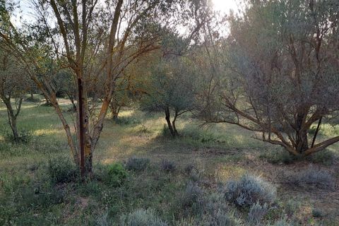 Erhvervsejendom i Quartucciu, Cagliari, Quartucciu - € 204.000 | Ref: 1342 - foto 12