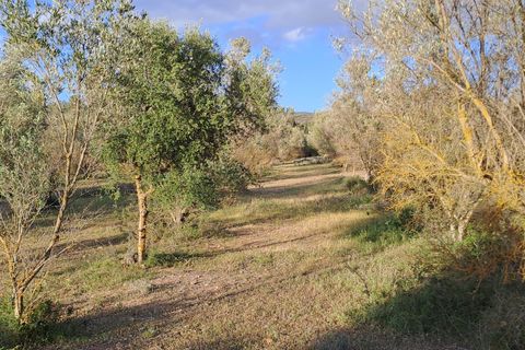 Erhvervsejendom i Quartucciu, Cagliari, Quartucciu - € 204.000 | Ref: 1342 - foto 13