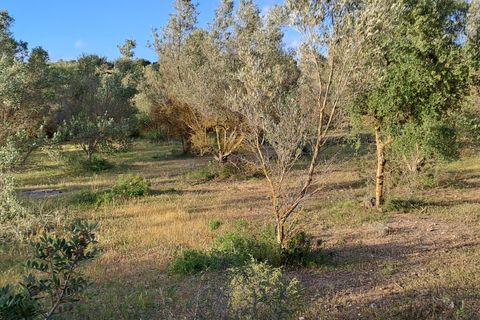 Erhvervsejendom i Quartucciu, Cagliari, Quartucciu - € 204.000 | Ref: 1342 - foto 14