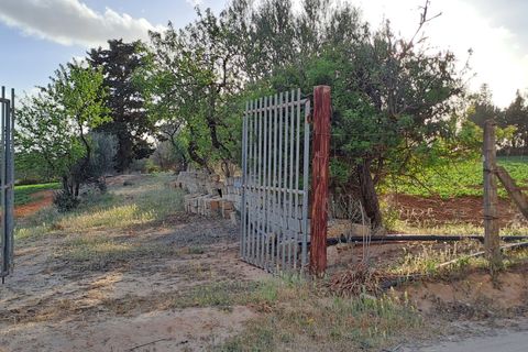 Erhvervsejendom i Quartucciu, Cagliari, Quartucciu - € 204.000 | Ref: 1342 - foto 15