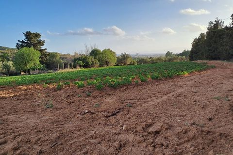 Erhvervsejendom i Quartucciu, Cagliari, Quartucciu - € 204.000 | Ref: 1342 - foto 21