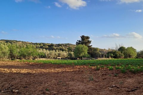 Erhvervsejendom i Quartucciu, Cagliari, Quartucciu - € 204.000 | Ref: 1342 - foto 22