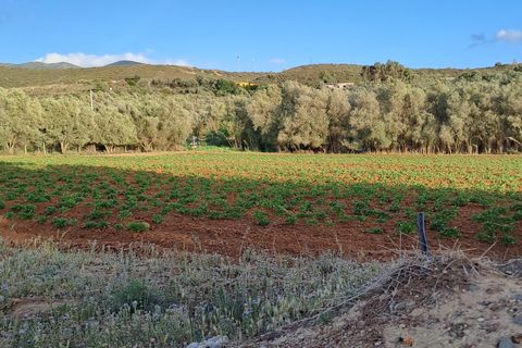 Erhvervsejendom i Quartucciu, Cagliari, Quartucciu - € 204.000 | Ref: 1342 - foto 23
