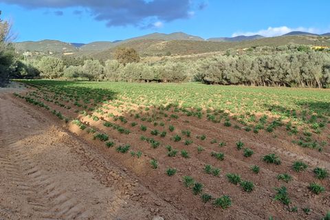 Erhvervsejendom i Quartucciu, Cagliari, Quartucciu - € 204.000 | Ref: 1342 - foto 24