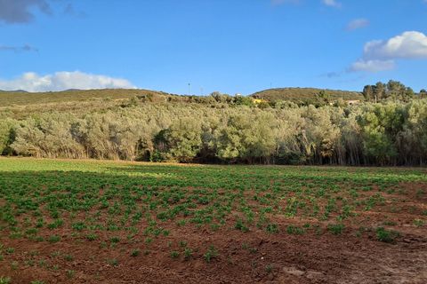 Erhvervsejendom i Quartucciu, Cagliari, Quartucciu - € 204.000 | Ref: 1342 - foto 25