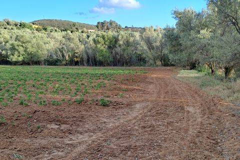 Erhvervsejendom i Quartucciu, Cagliari, Quartucciu - € 204.000 | Ref: 1342 - foto 26