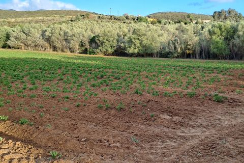 Erhvervsejendom i Quartucciu, Cagliari, Quartucciu - € 204.000 | Ref: 1342 - foto 27
