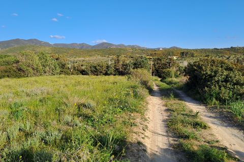 Erhvervsejendom i Quartucciu, Cagliari, Quartucciu - € 204.000 | Ref: 1342 - foto 34