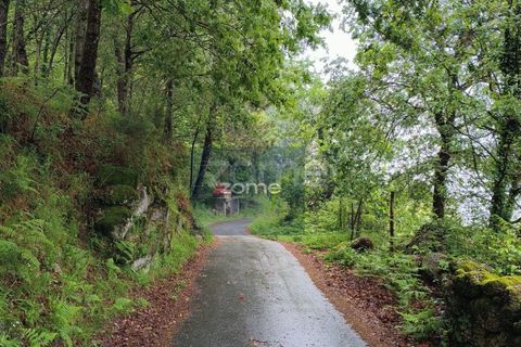 Villa i Ciboes e Brufe, Braga, Ciboes e Brufe - € 100.000 | Ref: ZMPT566969 - foto 3