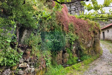 Villa i Ciboes e Brufe, Braga, Ciboes e Brufe - € 100.000 | Ref: ZMPT566969 - foto 18
