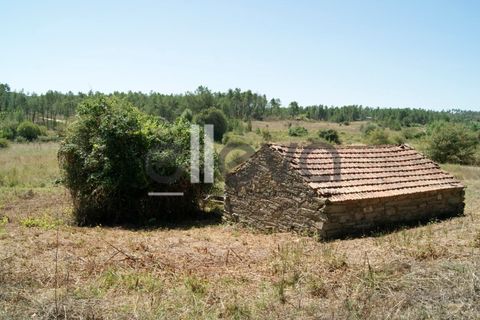 Helårsgrund i Castelo Branco, Castelo Branco, Castelo Branco - € 59.000 | Ref: 3853 - foto 1
