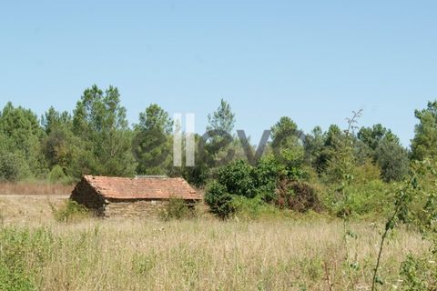 Helårsgrund i Castelo Branco, Castelo Branco, Castelo Branco - € 59.000 | Ref: 3853 - foto 4