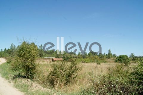 Helårsgrund i Castelo Branco, Castelo Branco, Castelo Branco - € 59.000 | Ref: 3853 - foto 7