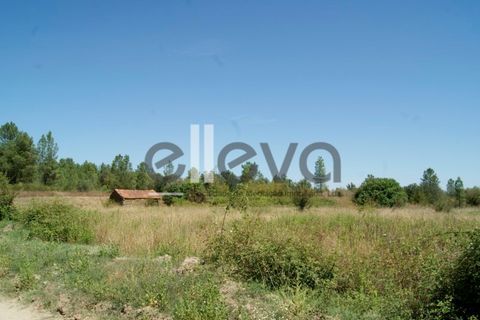 Helårsgrund i Castelo Branco, Castelo Branco, Castelo Branco - € 59.000 | Ref: 3853 - foto 9