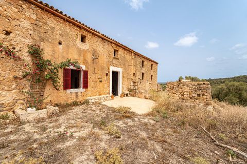 Landejendom i Manacor, Mallorca, Manacor - € 2.770.000 | Ref: 05RB031/3010 - foto 2