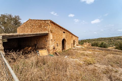 Landejendom i Manacor, Mallorca, Manacor - € 2.770.000 | Ref: 05RB031/3010 - foto 3