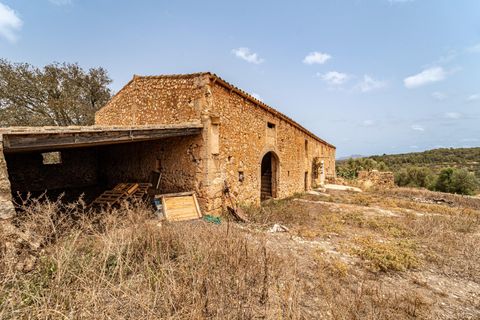Landejendom i Manacor, Mallorca, Manacor - € 2.770.000 | Ref: 05RB031/3010 - foto 4