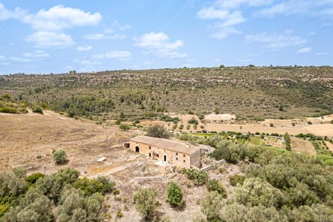 Landejendom i Manacor, Mallorca, Manacor - € 2.770.000 | Ref: 05RB031/3010 - foto 6