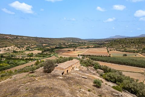 Landejendom i Manacor, Mallorca, Manacor - € 2.770.000 | Ref: 05RB031/3010 - foto 7