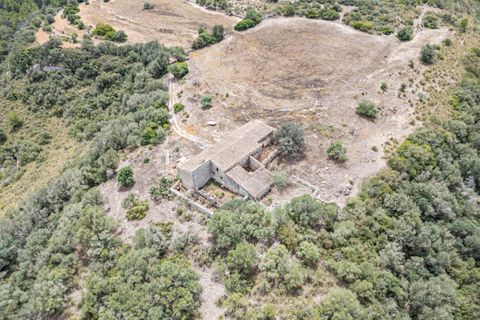 Landejendom i Manacor, Mallorca, Manacor - € 2.770.000 | Ref: 05RB031/3010 - foto 10