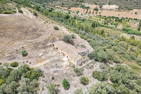 Landejendom i Manacor, Mallorca, Manacor - € 2.770.000 | Ref: 05RB031/3010 - foto 11