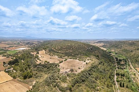 Landejendom i Manacor, Mallorca, Manacor - € 2.770.000 | Ref: 05RB031/3010 - foto 12