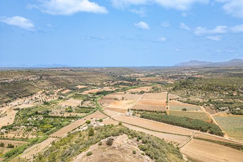Landejendom i Manacor, Mallorca, Manacor - € 2.770.000 | Ref: 05RB031/3010 - foto 13