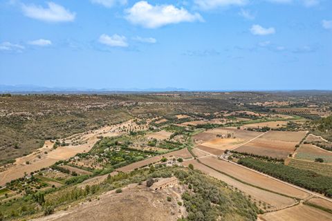 Landejendom i Manacor, Mallorca, Manacor - € 2.770.000 | Ref: 05RB031/3010 - foto 14