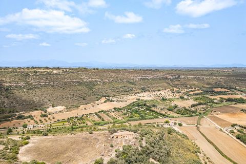 Landejendom i Manacor, Mallorca, Manacor - € 2.770.000 | Ref: 05RB031/3010 - foto 15