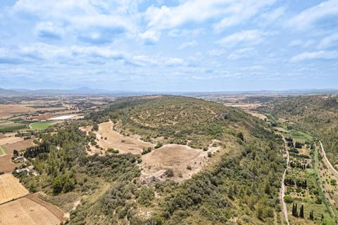 Landejendom i Manacor, Mallorca, Manacor - € 2.770.000 | Ref: 05RB031/3010 - foto 17