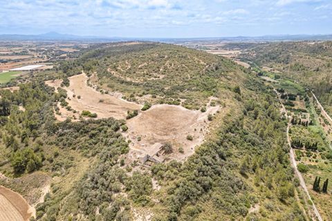 Landejendom i Manacor, Mallorca, Manacor - € 2.770.000 | Ref: 05RB031/3010 - foto 18