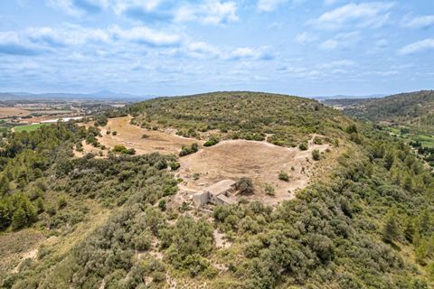Landejendom i Manacor, Mallorca, Manacor - € 2.770.000 | Ref: 05RB031/3010 - foto 19