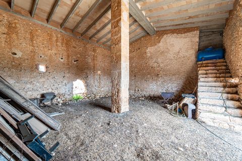 Landejendom i Manacor, Mallorca, Manacor - € 2.770.000 | Ref: 05RB031/3010 - foto 43
