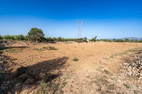 Finca i La Galera, Tarragona, La Galera - € 15 000 | Ref: 88 - foto 2